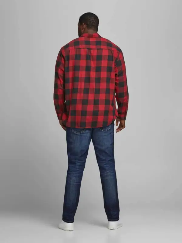 Modell bakfra