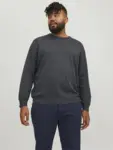 Modellbilde