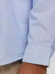 Nærbilde