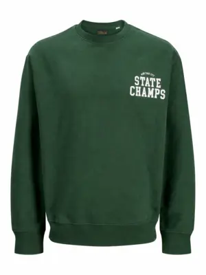 JPRBLUJACOB Pineneedle Crew Neck Sweat